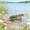 o09^E, 3.35in, variant on Bisitoy Topwater Mouse Fishing Lures, Bionic Rat Lure Kit for Bass, Pike, and Saltwater Species