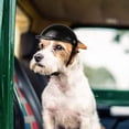 thumbnail image 2 of Pet Helmet Dog Helmet For Dogs Adjustable Dog Motorcycle Helmet Bicycle Helmet, 2 of 5