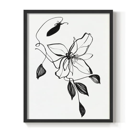 Wild Clematis I Framed Print in Black Solid Wood 8 x 10 Framed Print