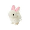 FUZZY BUNNY WIND-UP Multi-Colored