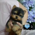 thumbnail image 4 of Jouet Chien Yorkie Réaliste Simulation Chien Chiot Compagnon en Peluche Fait Main, 4 of 6