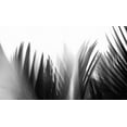 thumbnail image 2 of Weisbeck, Lena 32x20 Gold Ornate Wood Framed with Double Matting Museum Art Print Titled - In the Green I - B-W, 2 of 4
