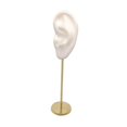 thumbnail image 2 of Earring Display Stand Human Ear Model Stud Display Photography Holder Showcase Jewelry Organizer Left Ear White, 2 of 9