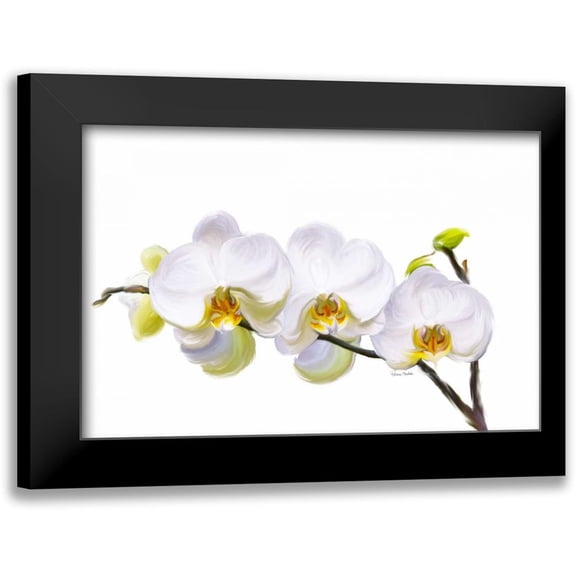 Murdock, Ramona 14x11 Black Modern Framed Museum Art Print Titled - White Orchids