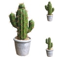 thumbnail image 2 of Coofit Artificial Cactus Decorative Vivid Fake Simulated Potted Plant Home Decor, 2 of 6