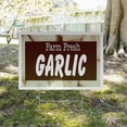 thumbnail image 5 of Farm Fresh Garlic Yard Sign 18 Inch x 24 Inch Single Sided Weatherproof Heavy-Duty Plastic with Stake | Freshly Harvested, Locally Grown, Healthy Choices | Made in USA, 5 of 7