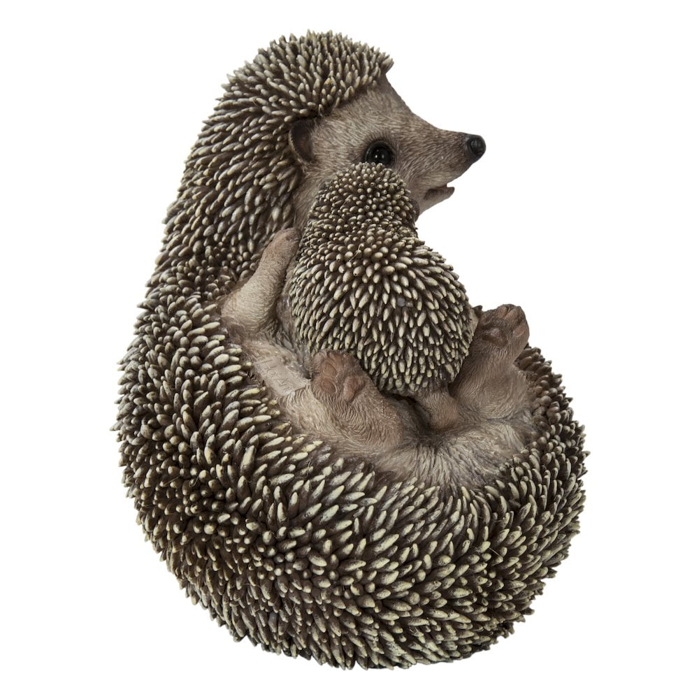Mother & Baby Hedgehogs on Back