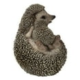 thumbnail image 5 of Mother & Baby Hedgehogs on Back, 5 of 6