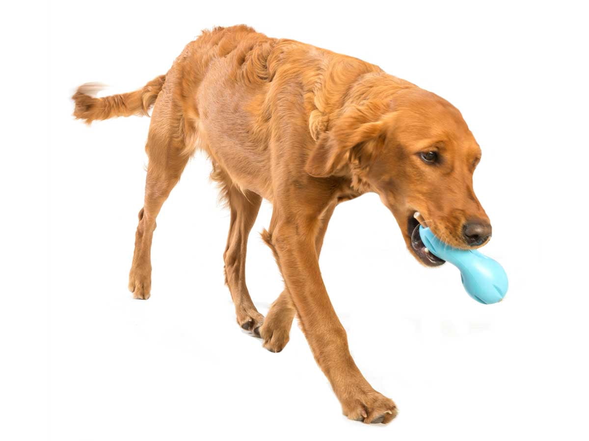West Paw Zogoflex Qwizl Large 6.5" Dog Toy Aqua