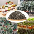 thumbnail image 5 of 8 Quarts Organic Succulent and Cactus Soil Potting Mix, Fast Draining Pre-Mixed Course Blend, 5 of 5