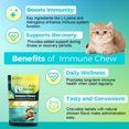 thumbnail image 4 of Cat Immune Chews – Immune Support Supplement for Cats Immune System Health 60 Chews, 4 of 6