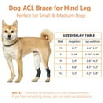 thumbnail image 4 of DGYAO Dog Leg Brace for Torn ACL & CCL Dog Knee Brace Wrapped (Pair), 4 of 5