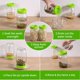 thumbnail image 4 of Kit de GerminacióN 6 Piezas Tapas Frascos Brotes para Boca Pantalla Crecimiento Plantas Microvegetales Interiores,A, 4 of 5