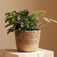 thumbnail image 2 of 3X Straw Weaving Flower Plant Pot Wicker Basket Rattan Flowerpot Storage Basket Handmade Woven Planter Basket M, 2 of 6