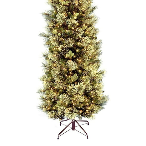 National Tree Company Carolina Pencil Pine 12 Foot Prelit