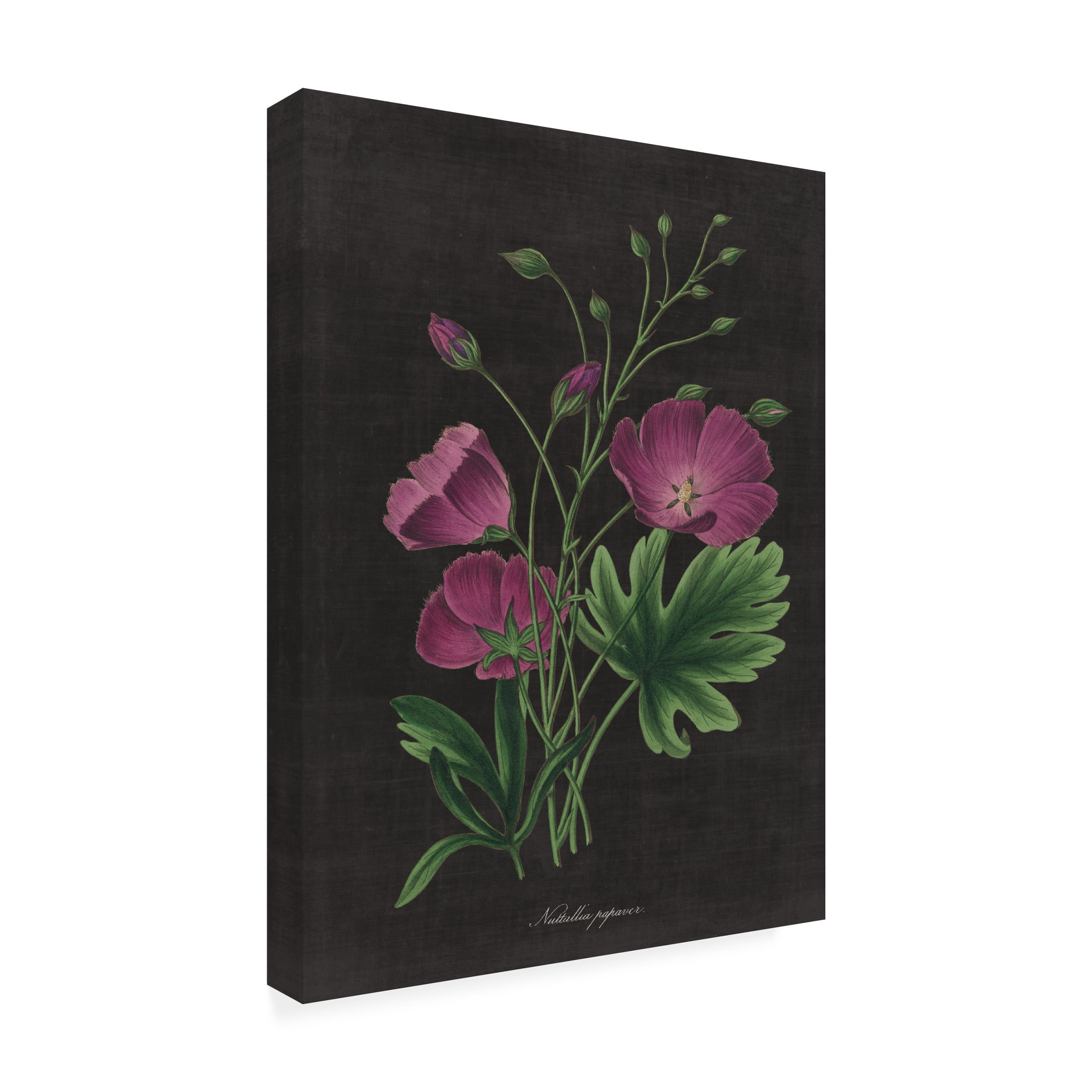 Veronique Charron 'Mexican Fiesta VIII' Canvas Art