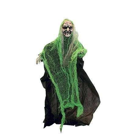 The Gothic Collection Posable Shrouded Witch Halloween Party Decor, 25 X 17.5