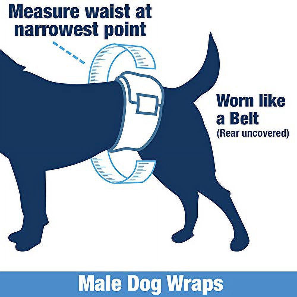 Male Wraps, Disposable Dog Diapers, 1-Tab Large, Lavender, 72 Count - Snag-Free Fastener, Leak Protection, Wetness Indicator
