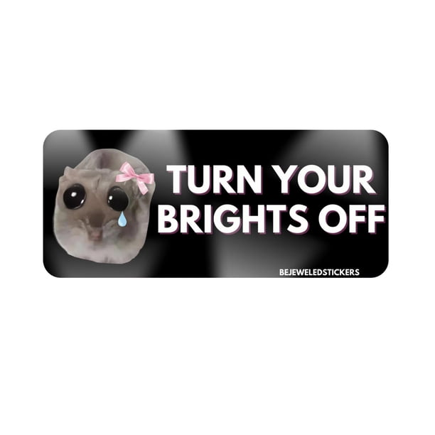 Buy 2 get 10% off Pack Of 3 Cute Dismal Hamster Car Stickers - Waterproof, Perfect For Beginner Drivers