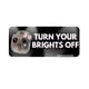thumbnail image 1 of Buy 2 get 10% off Pack Of 3 Cute Dismal Hamster Car Stickers - Waterproof, Perfect For Beginner Drivers, 1 of 3
