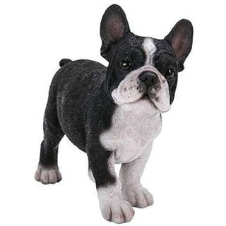 French Bulldog – Goody Paws