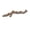 A, variant on Reptile Resin Driftwood Decoration, Naturalistic Climbing Branch for Lizard, Gecko, Snake, Spider, Terrarium Habitat Ornament