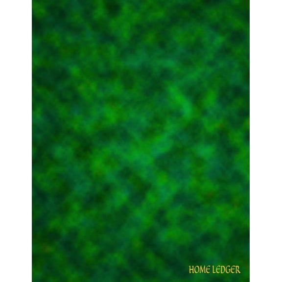 Home Ledger : Columnar Ruled Ledger, 5 Columns, 8.5x11 Inches, 120 Pages (Paperback)