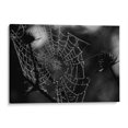 thumbnail image 1 of Cuadro decorativo - Spider Web, HCTR 45x30 Canvas Lab Blanco y negro, Minimalista, Fotografía,, 1 of 2