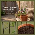 thumbnail image 3 of unbranded 2Ud Decorativo Para Plantas Trepadoras Con Estructura Resistente Verde, 3 of 8