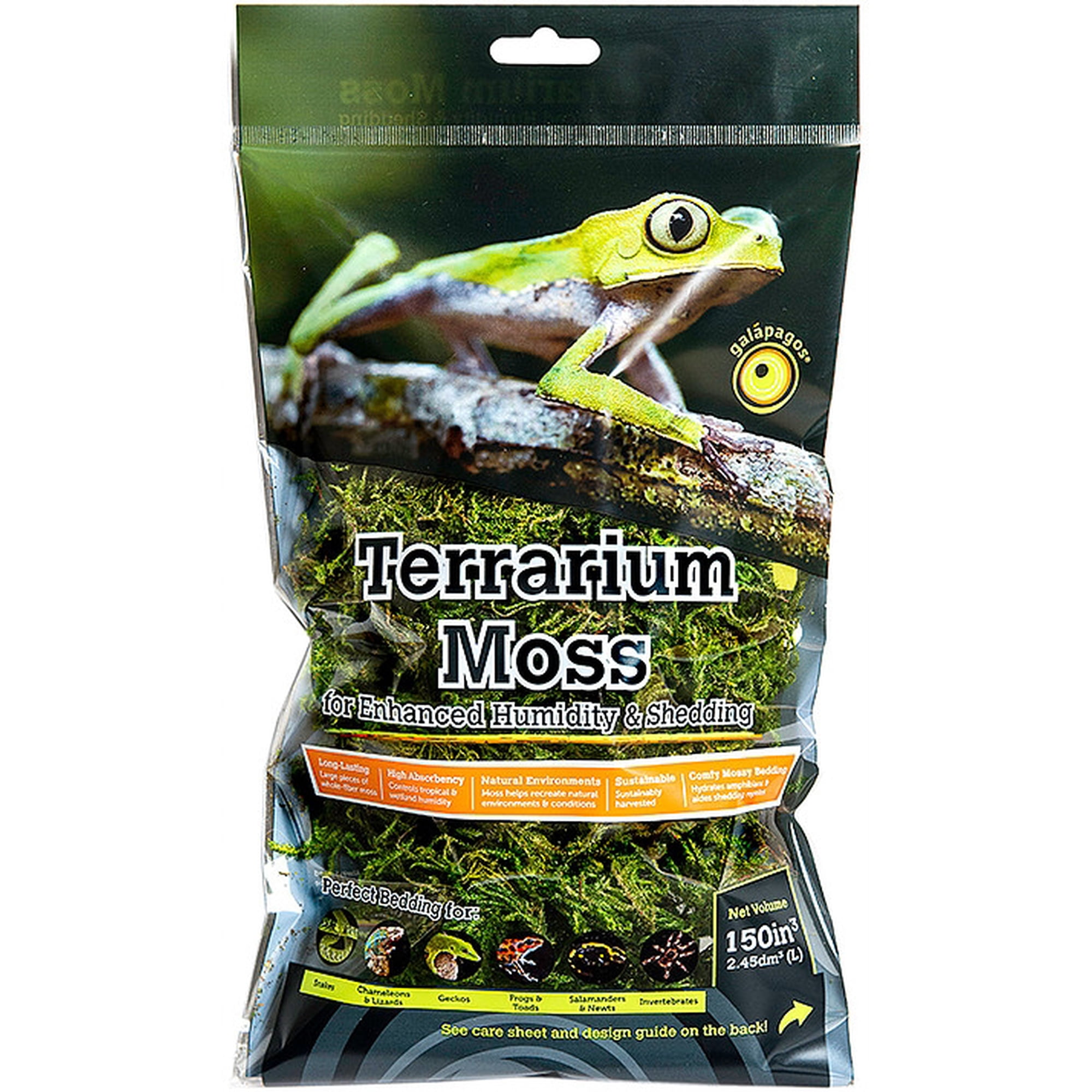 Green Sphagnum Moss (Mini Bag)