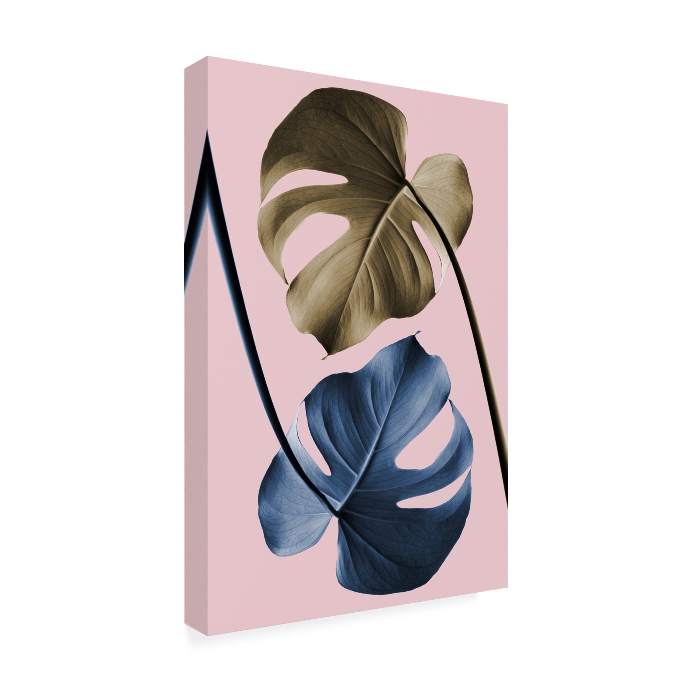 Trademark Fine Art Pictufy Studio Monstera Pink 12 Canvas Wall Art