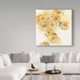 thumbnail image 3 of Trademark Fine Art 'Yellow Roses Anew I' Canvas Art by Chris Paschke, 3 of 3