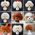 AOOOWER Professional Pet Grooming Practice Head Model With Soft