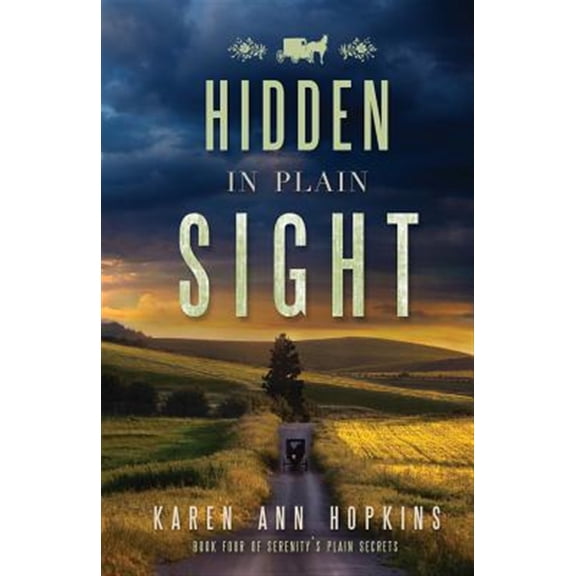 Pre-Owned Serenity's Plain Secrets: Hidden in Plain Sight (Paperback)