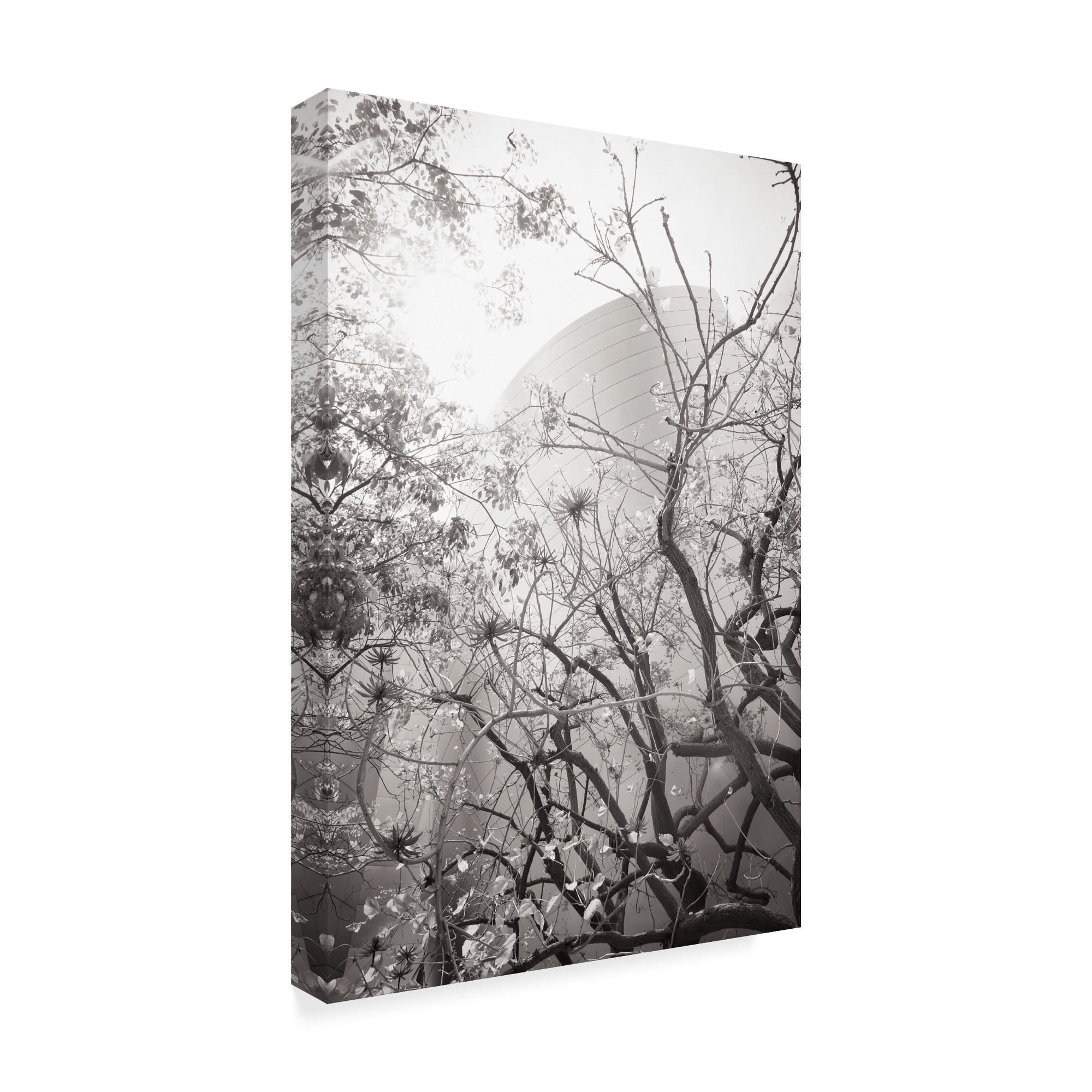 Trademark Fine Art 'Dreamy Disney Concert View' Canvas Art by Chris Moyer
