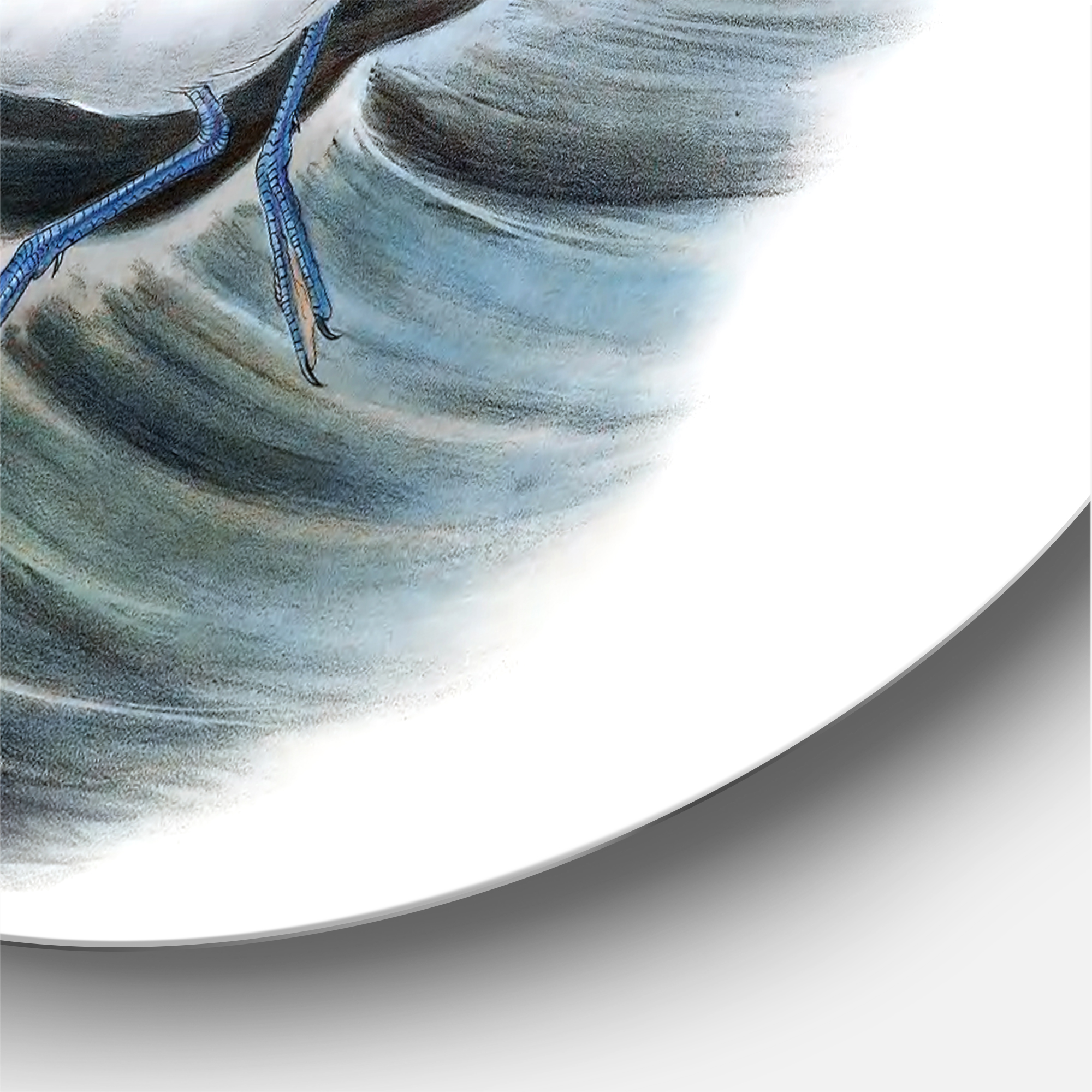 Designart 'Ancient Bird Life X' Traditional Circle Metal Wall Art 29x29 - Disc of 29