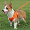 thumbnail image 3 of SPRING PARK Reflective Breathable Air Mesh Dog Harness with Traction Rope, Adjustable Explosion Proof Polyester Puppy Vest, Soft Pet Chest Strap for Small Medium Dogs and Cats, 3 of 7