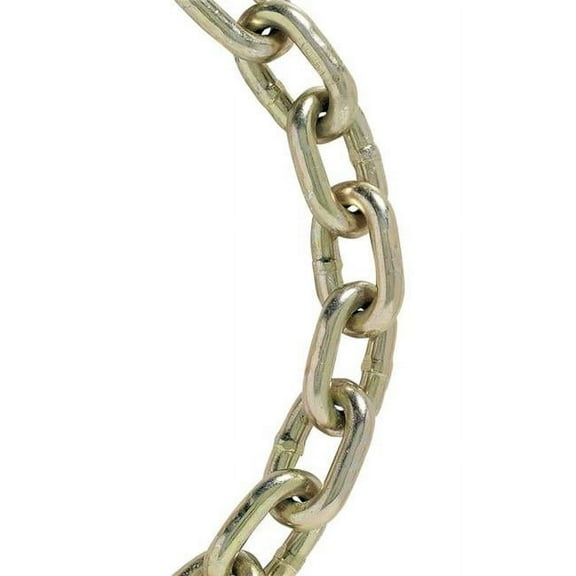 Koch Industries 5058095 0.375 in. x 0.375 in. x 10 ft. Welded Steel Transport Chain