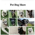 thumbnail image 7 of Dog Sunglasses Medium To Large Dog Transparent Goggles Windproof Pet Glasses With Elastic Straps Clear, 7 of 7