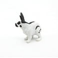 thumbnail image 5 of Papillon Rabbit, 5 of 6