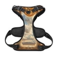 thumbnail image 5 of Picia Golden Drapes Pillars Clouds No-Pull Dog Harness Reflective Front Clip Vest with Handle,Step-in Air Dog Harness,Adjustable 2 Metal Rings 4 Buckles,Easy to Put on & Take Off X-Large, 5 of 9