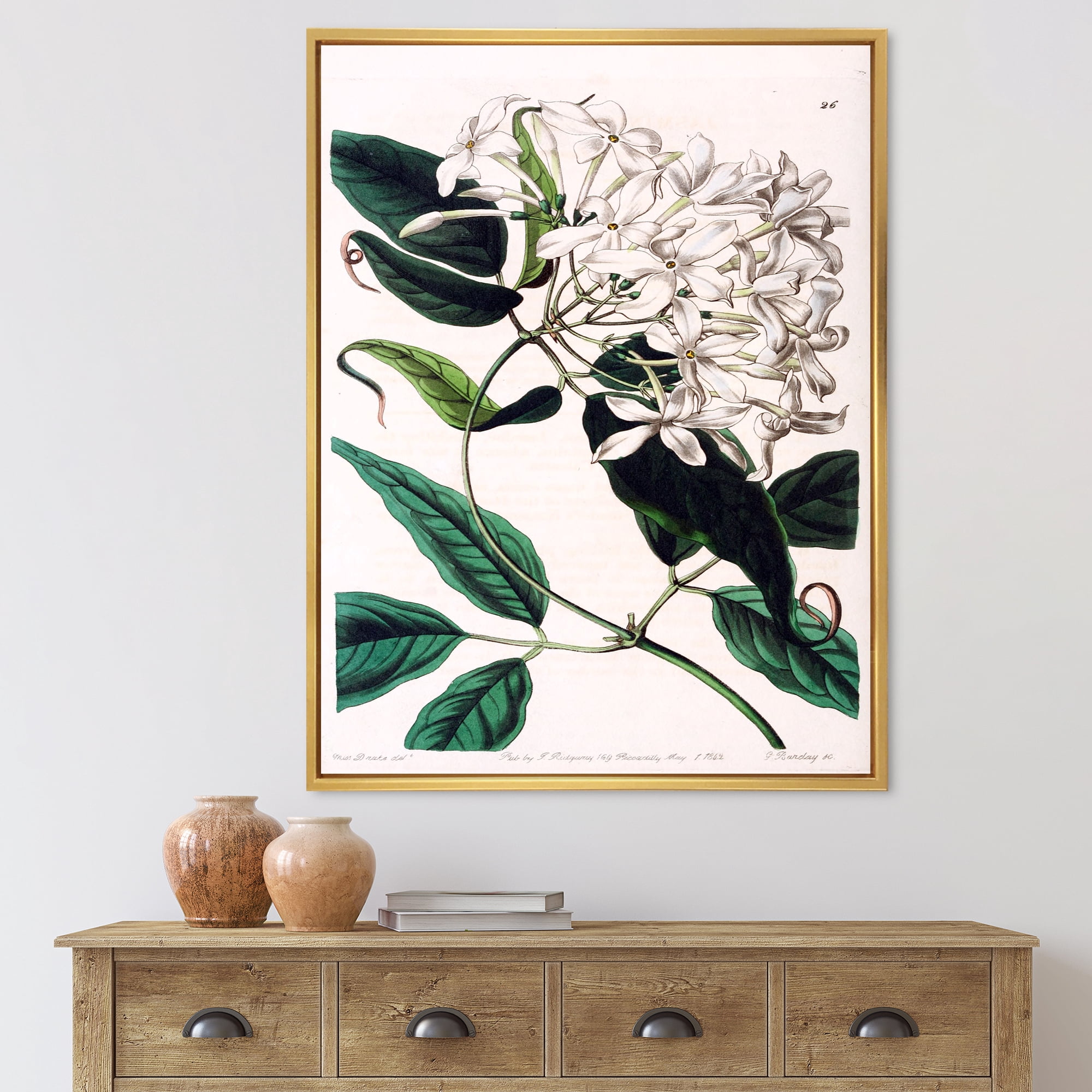 Designart 'Ancient Plant Life XXIV' Traditional Framed Canvas Wall Art Print