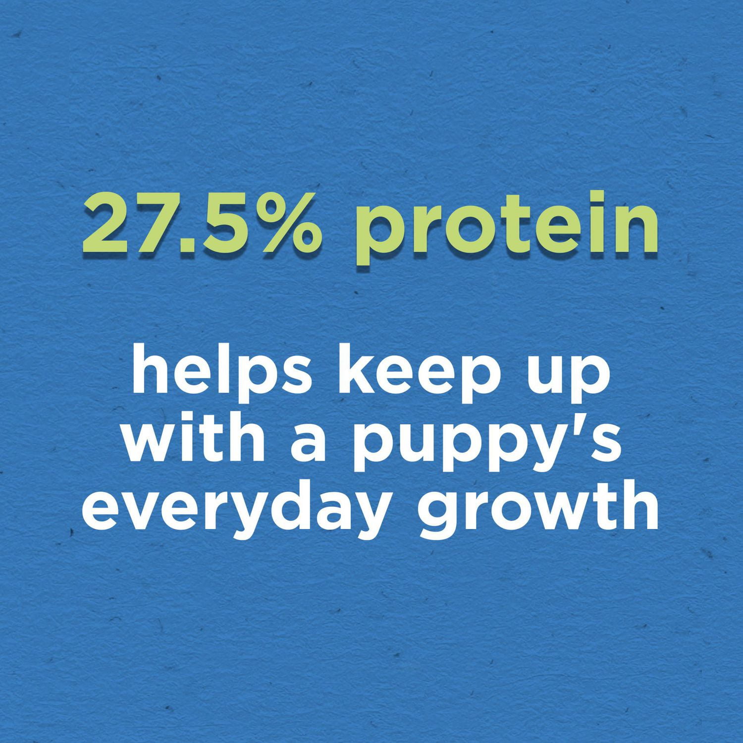 Purina Puppy Chow Complete with Real Chicken, Dry Puppy Food, 2kg-11.4kg