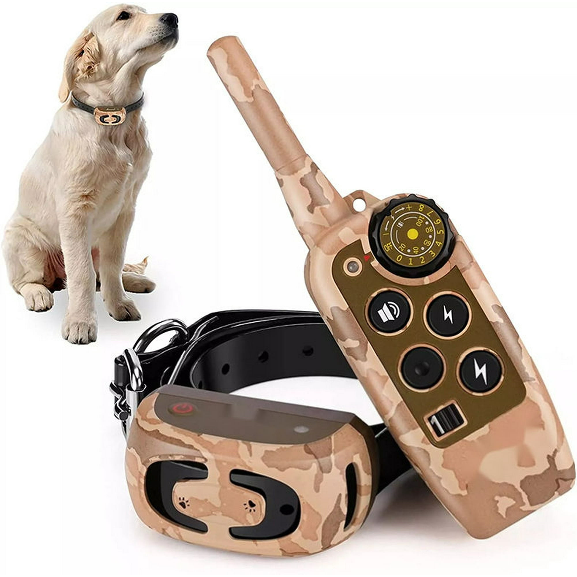 Dog shock collar in store 2025