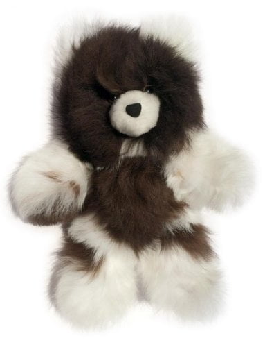 multi colored teddy bear