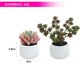 thumbnail image 2 of 2 uds. Bonsái de diamante grande, simulación de bonsái suculento, flor artificial, planta decorativa creativa, decoración interior, 2 of 5
