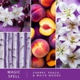 thumbnail image 3 of Scentsationals Plug in Air Freshener Starter Set – Swivel Plug Fragrance Oil Diffusers & 2 Long Lasting Scent Refills - Magic Spell, 3 of 5