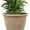Beige, variant on 24-Inch Anjelica Large Plastic Pot for Plants - Outdoor Double-Walled Large Plastic Planter with Drillable Drainage Holes- Rust