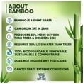 thumbnail image 5 of Papel higiénico BOONBOO Bamboo, 3 capas, sin blanquear, 4 rollos, 5 of 5