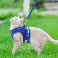 thumbnail image 6 of TETOU Cat Harness and Leash Set for Walking Adjustable Vest with Reflective Strap for Pet Kitten Puppy, 6 of 8